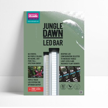 Arcadia Jungle Dawn LED A3 Poster